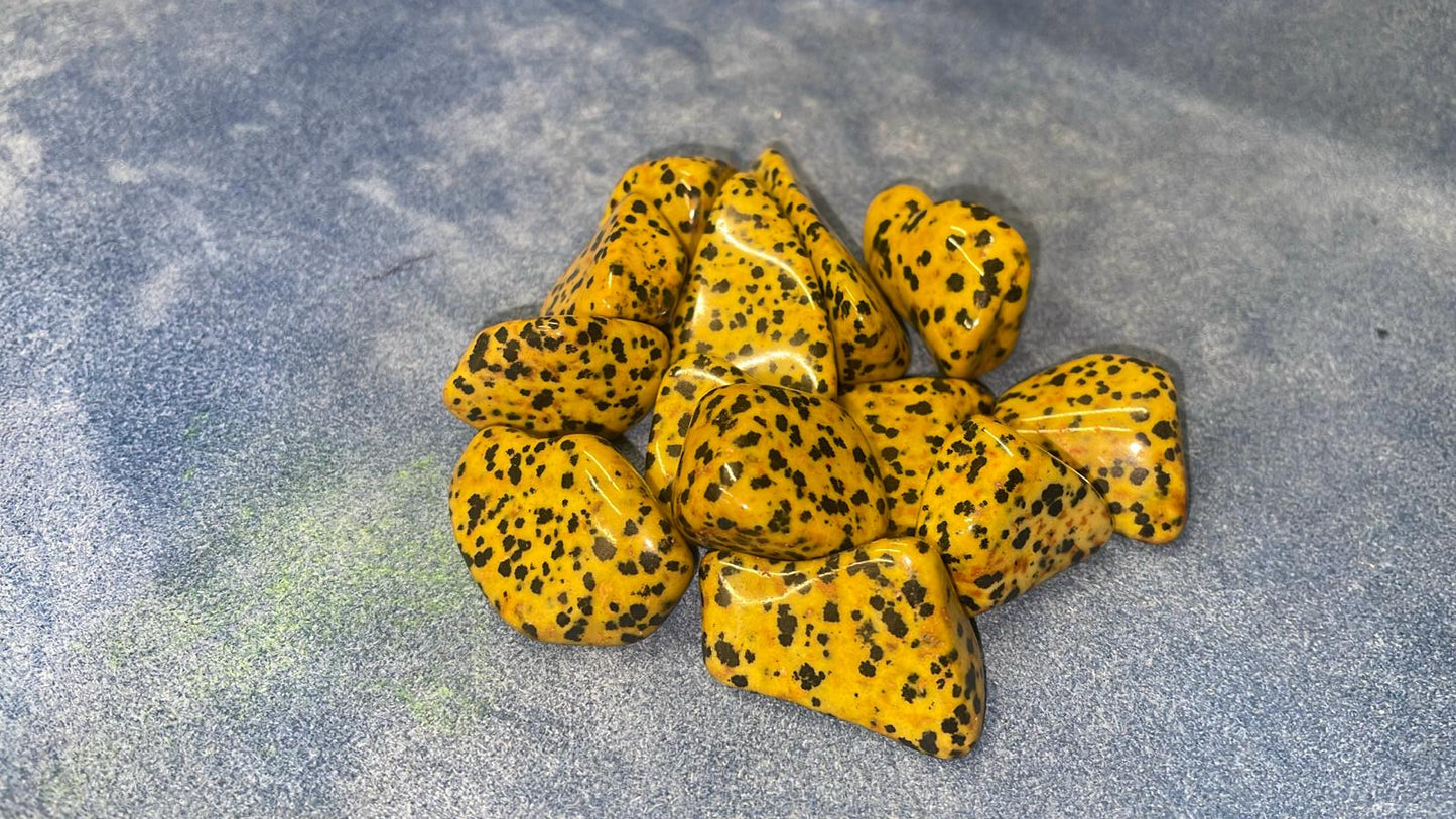 Yellow Dalmatian Jasper