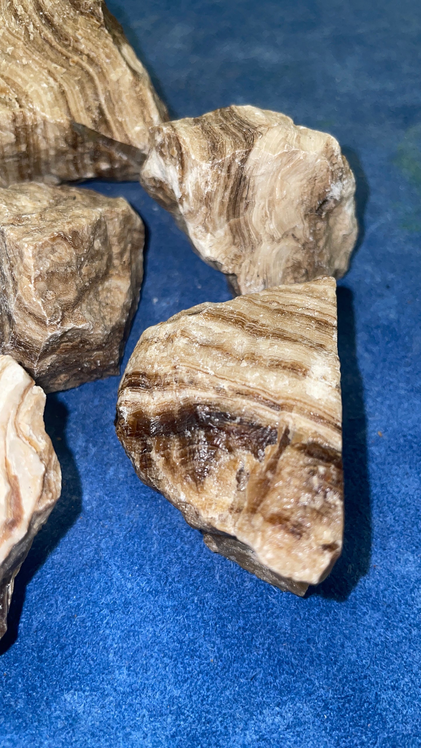 Choclate Calcite
