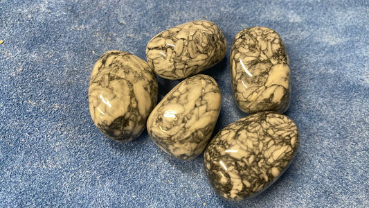 Pinolith