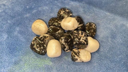 Zebra Jasper