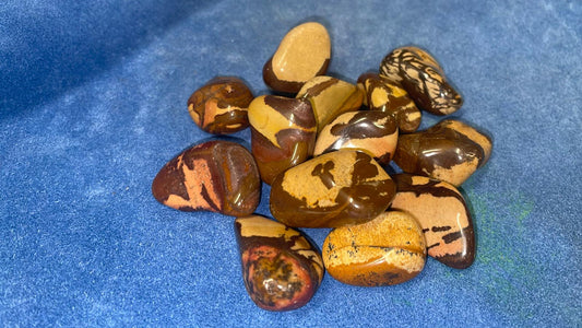 Nguni Jasper
