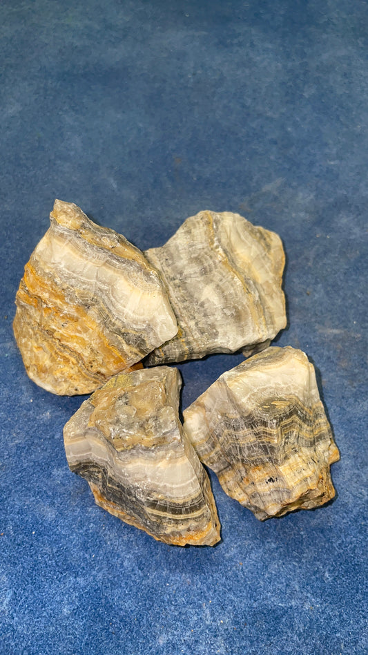 Bumble Bee Jasper