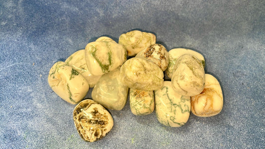 Tree Agate