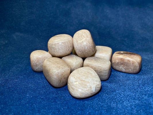 Peach Moonstone (2-3cm)