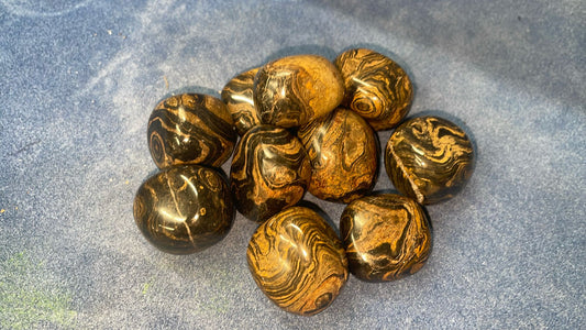 Stromatolite