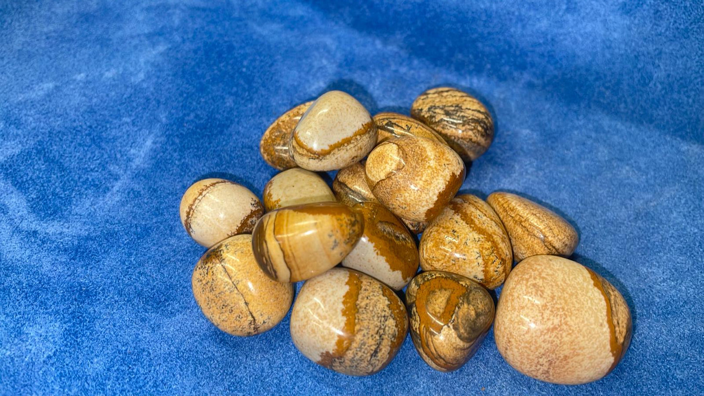 Picture Jasper