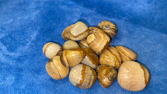 Picture Jasper