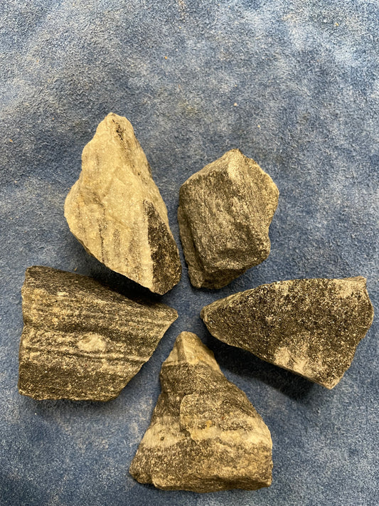 Zebra Jasper