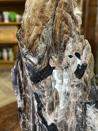 Muscovite Mica, Black Tourmaline and Clear Quartz