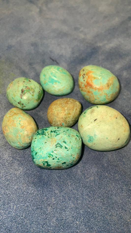 Extra Large Chrysocolla
